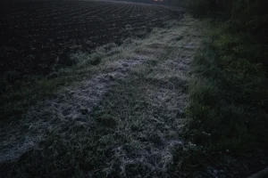 Mraz zabijelio naše krajeve