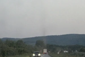 Neobična pojava na cesti Oriovac – Kobaš: Ovo što vidite nije dim nego mušice!
