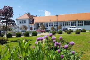 Udruga „STUP“ zapošljava: Otvoren natječaj za djelatnika/cu za pomoć u kući u sklopu projekta „Krug dobrote“