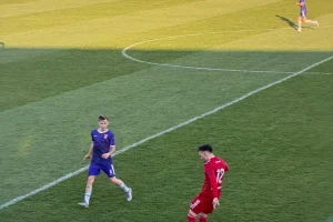 Oriolik remizirao kod Želje