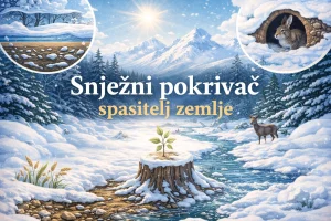 Snijeg kao saveznik: Zašto je bijeli pokrivač ključan za okoliš