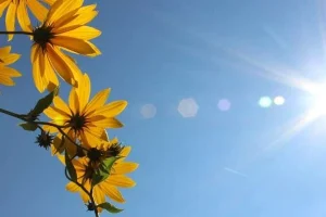 Toplo i sunčano uoči Praznika rada, kiša tek početkom tjedna