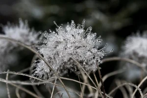 Stigao je polarni zrak, za vikend moguć i mraz