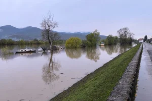 Sava raste, ima li razloga za brigu?