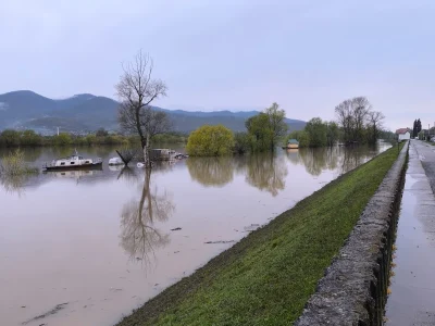 Sava raste, ima li razloga za brigu?